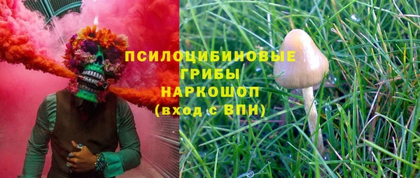 прущие крисы Новозыбков
