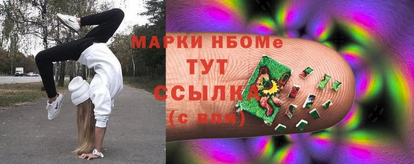 прущие крисы Новозыбков