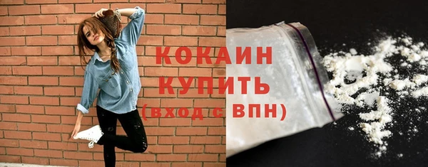 прущие крисы Новозыбков