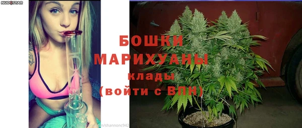 прущие крисы Новозыбков