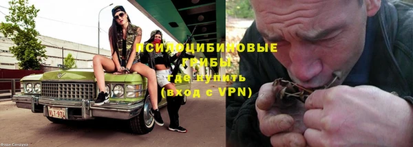 прущие крисы Новозыбков
