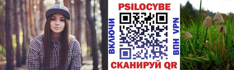 Псилоцибиновые грибы Magic Shrooms  Суровикино 
